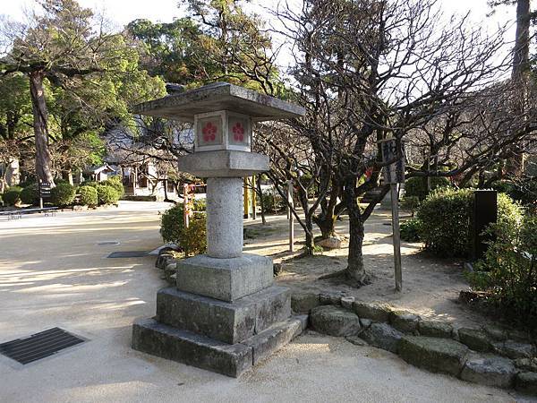 IMG_2735.jpg IMG_2735.jpg