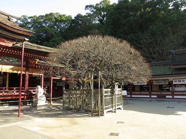 IMG_2742.jpg IMG_2742.jpg