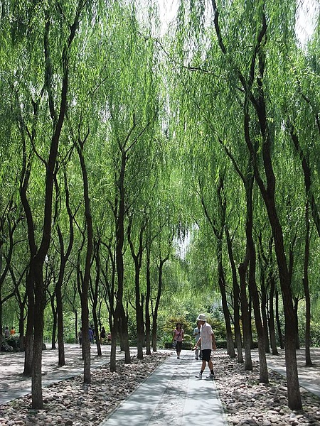 DSCF0502.jpg DSCF0502.jpg