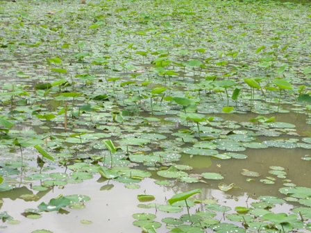 2012_0422_133730 2012_0422_133730