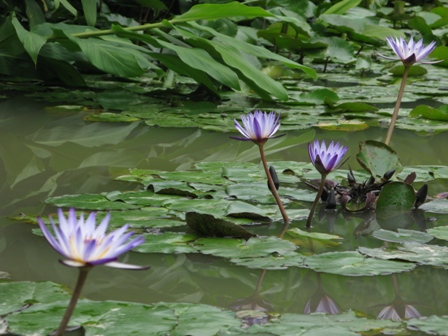 2012_0422_143544 2012_0422_143544