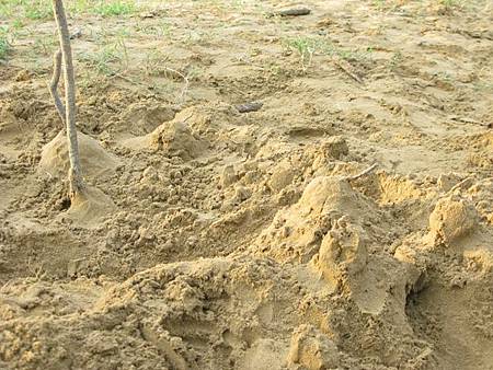 2012_0609_054944 2012_0609_054944