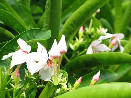 2012_0609_062044 2012_0609_062044