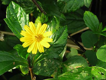 2012_0609_061736 2012_0609_061736