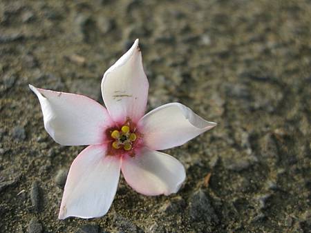 2012_0609_062148 2012_0609_062148