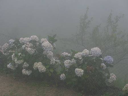 2012_0707_155225 2012_0707_155225