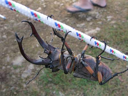 2012_0708_061343 2012_0708_061343