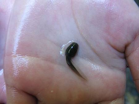 2012_1014_113512 2012_1014_113512