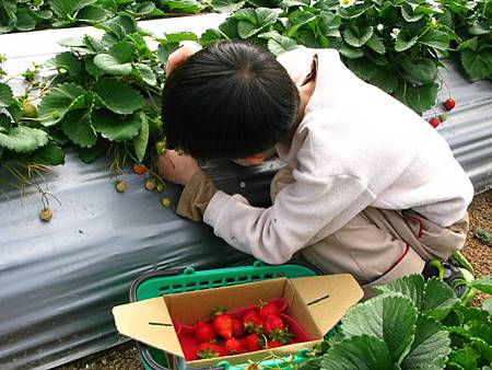 2013_0126_102426.JPG 2013_0126_102426.JPG