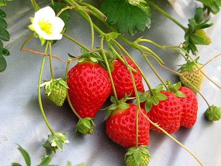 2013_0126_095755.JPG 2013_0126_095755.JPG