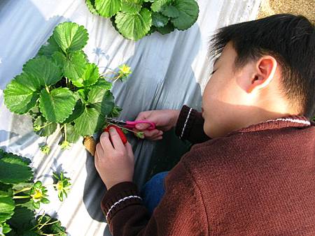 2013_0126_095508.JPG 2013_0126_095508.JPG