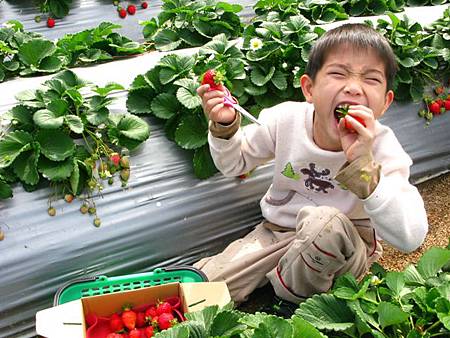 2013_0126_102459.JPG 2013_0126_102459.JPG