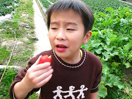 2013_0126_103443.JPG 2013_0126_103443.JPG