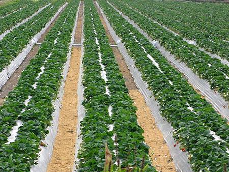 2013_0126_104052.JPG 2013_0126_104052.JPG