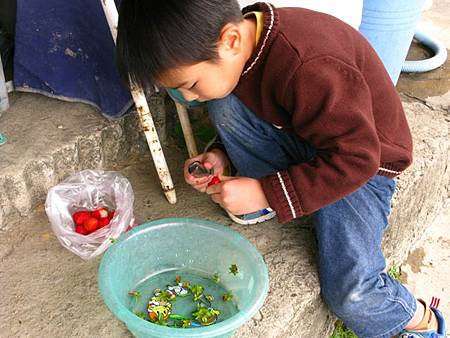 2013_0126_104223.JPG 2013_0126_104223.JPG