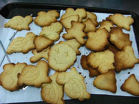 2013_0126_163925.JPG 2013_0126_163925.JPG