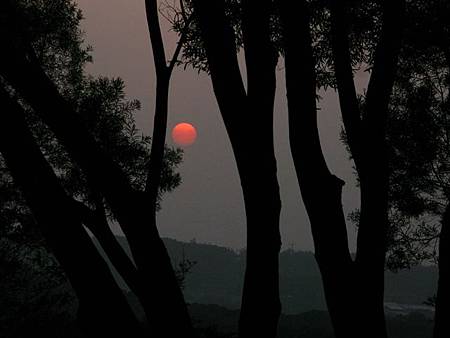 2013_0126_172646.JPG 2013_0126_172646.JPG