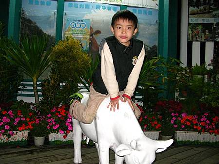 2013_0126_192556.JPG 2013_0126_192556.JPG