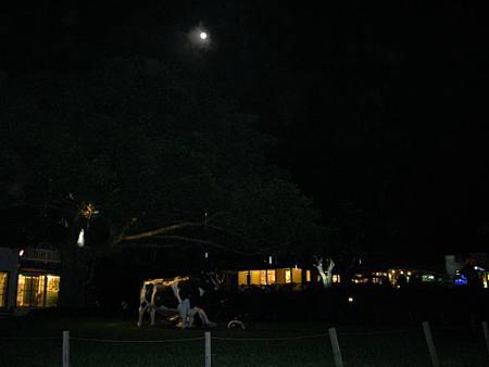 2013_0126_192853.JPG 2013_0126_192853.JPG