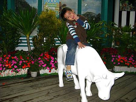 2013_0126_192617.JPG 2013_0126_192617.JPG