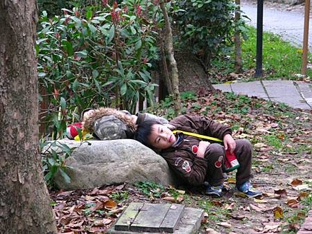 2013_0127_080651.JPG 2013_0127_080651.JPG