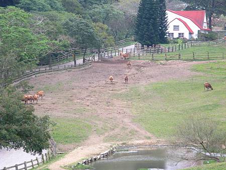 2013_0127_081714.JPG 2013_0127_081714.JPG