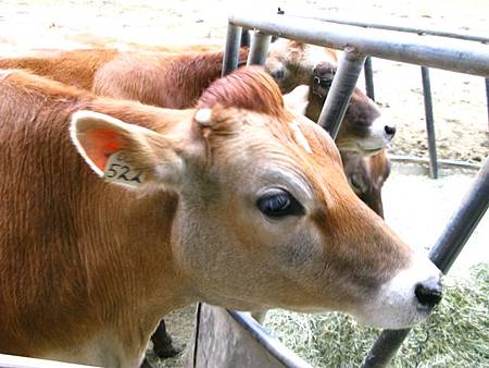 2013_0127_082434.JPG 2013_0127_082434.JPG