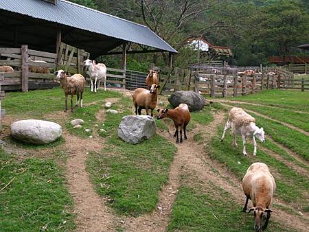 2013_0127_083212.JPG 2013_0127_083212.JPG