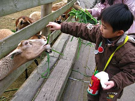 2013_0127_083630.JPG 2013_0127_083630.JPG