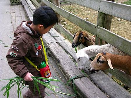 2013_0127_084251.JPG 2013_0127_084251.JPG