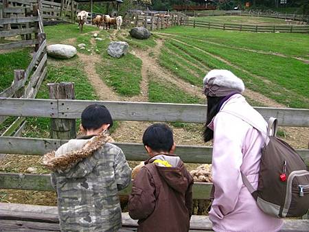 2013_0127_083156.JPG 2013_0127_083156.JPG