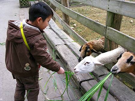 2013_0127_084303.JPG 2013_0127_084303.JPG