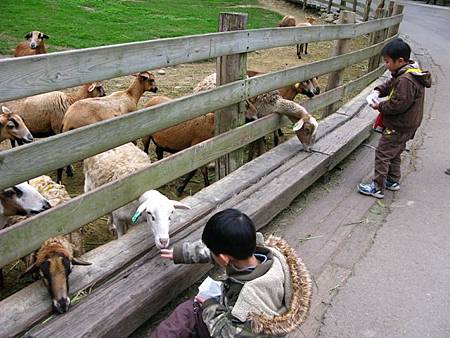 2013_0127_083245.JPG 2013_0127_083245.JPG