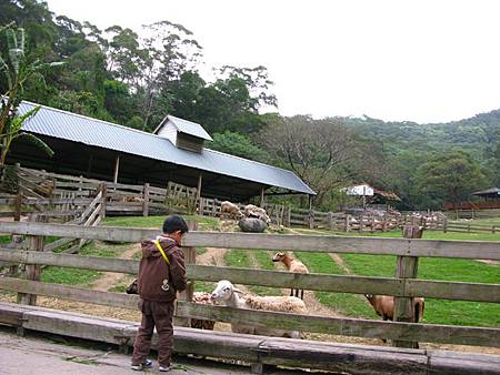 2013_0127_084703.JPG 2013_0127_084703.JPG