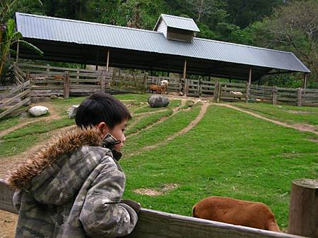 2013_0127_084555.JPG 2013_0127_084555.JPG