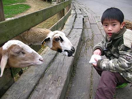 2013_0127_083700.JPG 2013_0127_083700.JPG