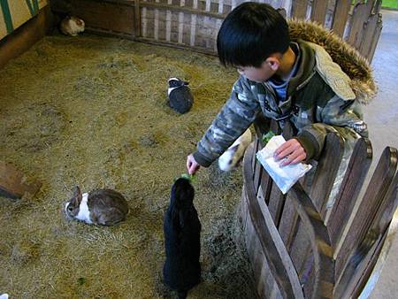 2013_0127_085941.JPG 2013_0127_085941.JPG