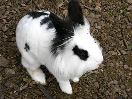 2013_0127_090216.JPG 2013_0127_090216.JPG