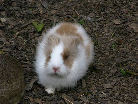 2013_0127_090400.JPG 2013_0127_090400.JPG