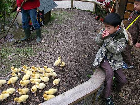 2013_0127_092007.JPG 2013_0127_092007.JPG