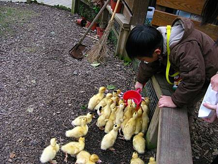 2013_0127_092204.JPG 2013_0127_092204.JPG