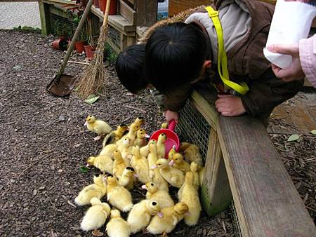 2013_0127_092209.JPG 2013_0127_092209.JPG