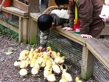 2013_0127_092249.JPG 2013_0127_092249.JPG