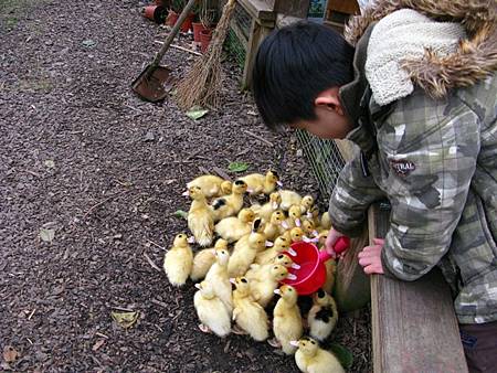 2013_0127_092141.JPG 2013_0127_092141.JPG