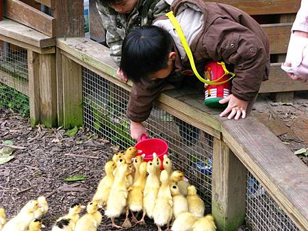 2013_0127_092307.JPG 2013_0127_092307.JPG