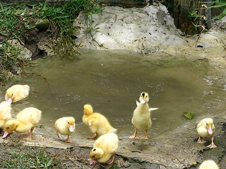 2013_0127_092804.JPG 2013_0127_092804.JPG