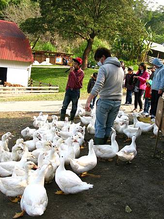 2013_0127_100504 2013_0127_100504