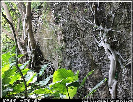 2013_0721_093506P97.jpg 2013_0721_093506P97.jpg