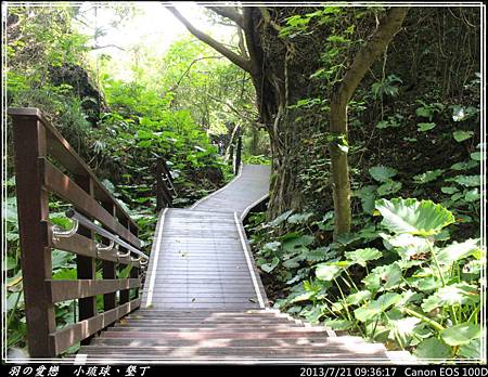 2013_0721_093617P98.jpg 2013_0721_093617P98.jpg