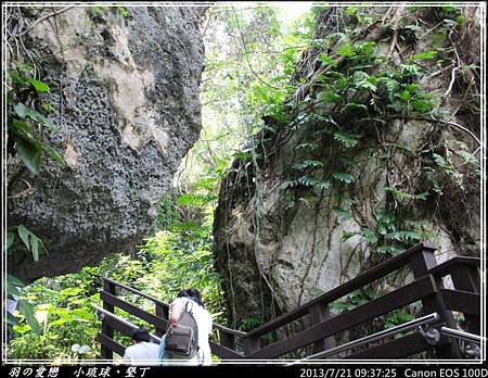 2013_0721_093725P99.jpg 2013_0721_093725P99.jpg